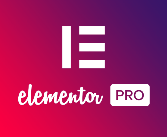 WordPress Elementor PRO